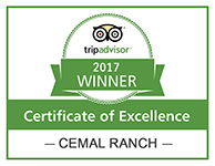 Certificate of Excellence Winner 2017 Cemal Ranch