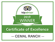 Certificate of Excellence Winner 2019 Cemal Ranch